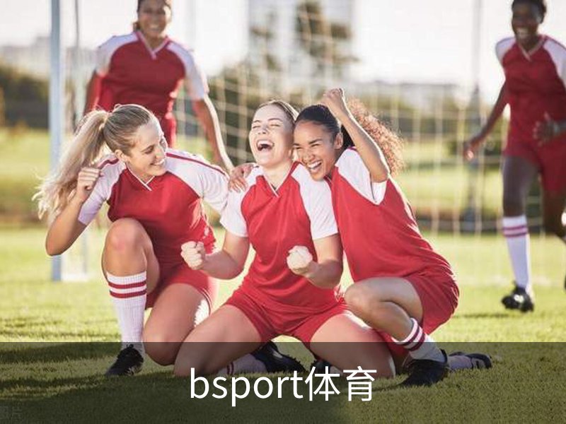 了解bsport体育